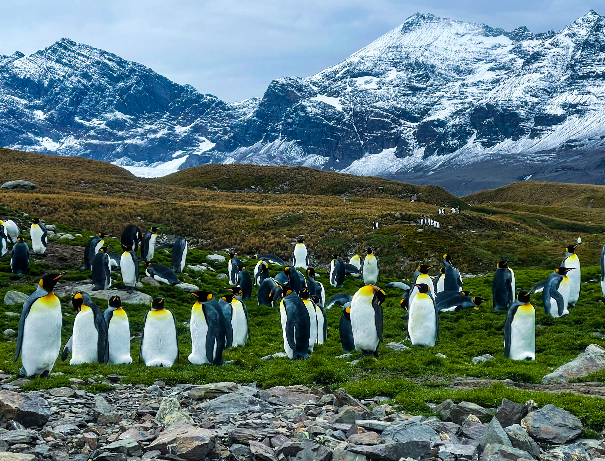 glacial-covered peaks