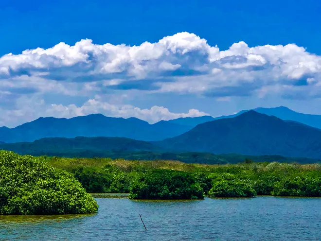 sea flanks San Blas