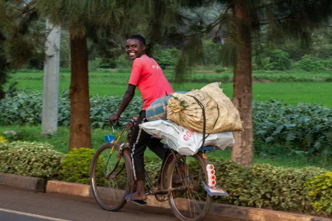 A boy transports tea on a bicycle back to his village