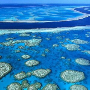 Protecting The Great Barrier Reef Queensland