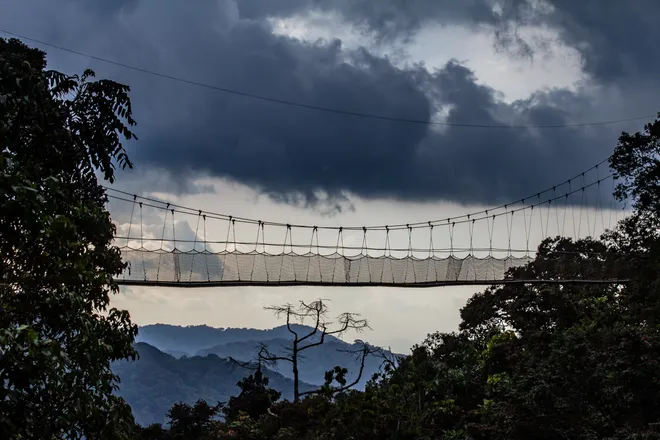 suspension bridge