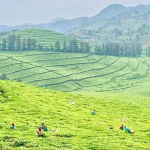 Take A Photo Tour Of Remarkable Rwanda