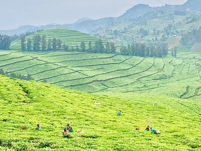 Take a photo tour of remarkable Rwanda