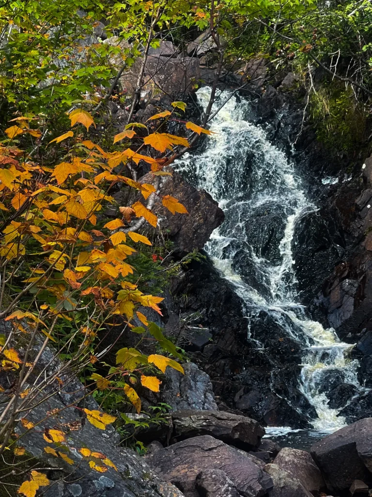 Adventure Canada Newfoundland (5)